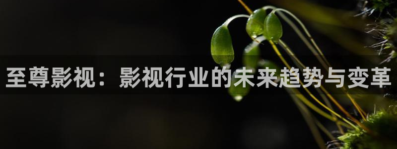 橘子視頻在線觀看免費：至尊影視：影視行業(yè)的未來趨勢與變革
