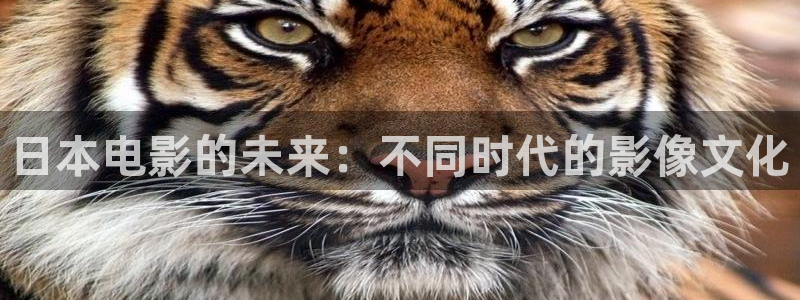 橘子視頻直播下載：日本電影的未來：不同時(shí)代的影像文化